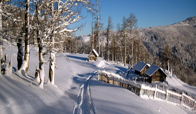 andrijevica winter snow