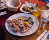 Calamari and squid