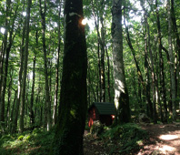 National Park Biogradska Gora, Montenegro