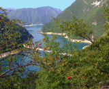 Piva Lake - Road view