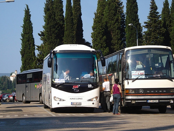 Bus companies in Montenegro
