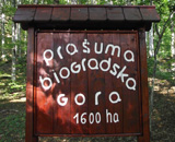 Biogradska Gora Montenegro