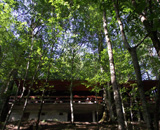 Biogradska Gora - Restaurant