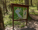 National Park -Biogradska Gora, Montenegro 